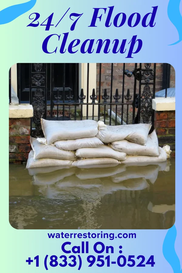 24/7 Flood Cleanup in Pocomoke City, MD