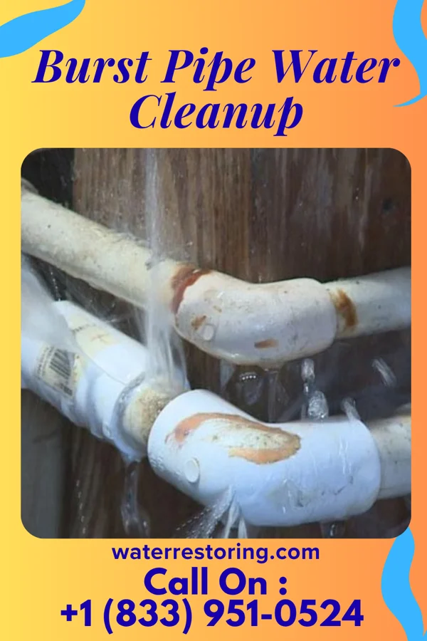 Burst Pipe Water Cleanup in Pocomoke City, MD