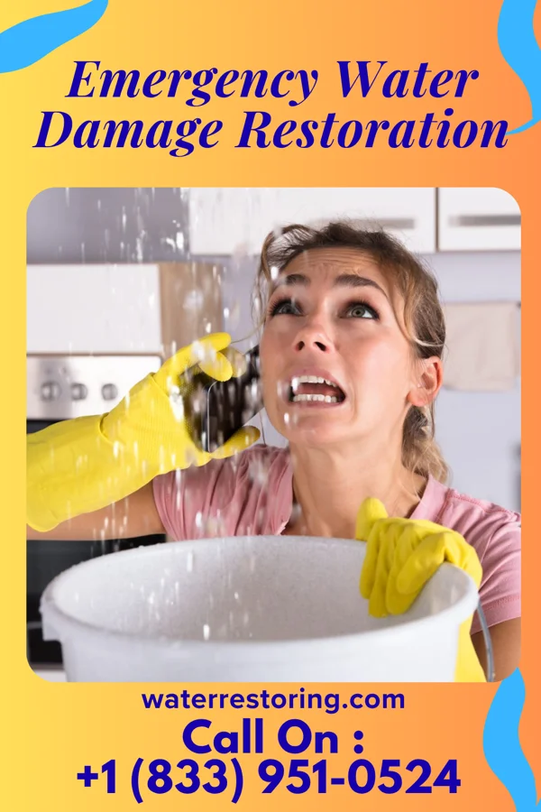 Emergency Water Damage Restoration in Pocomoke City, MD