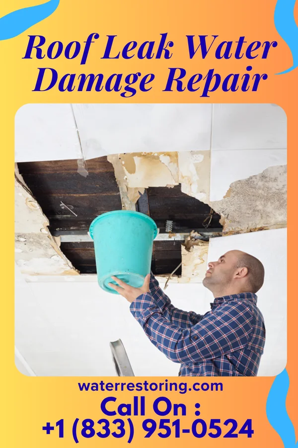 Roof Leak Water Damage Repair in Pocomoke City, MD