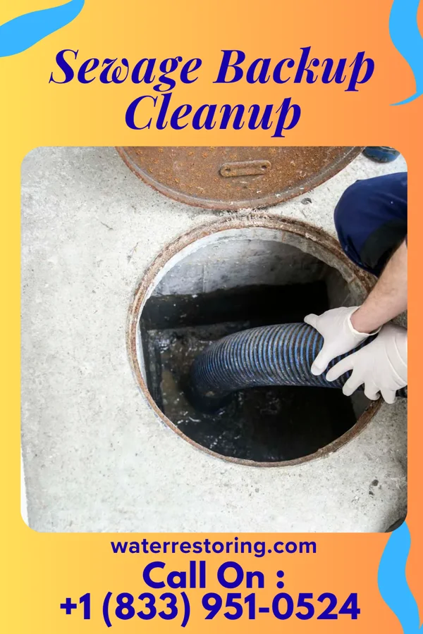 Sewage Backup Cleanup in Pocomoke City, MD